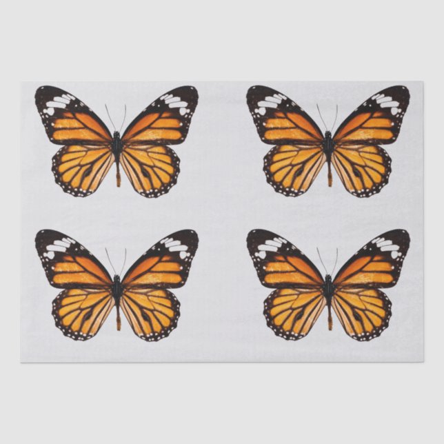 PAPIER MOUSSELINE PAPIER DE TISSU DE DÉCOUPAGE : MONARCH BUTTERFLY (Recto)