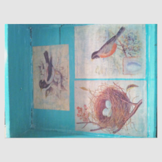 PAPIER MOUSSELINE PAPIER DE TISSU D'OISEAUX 18 LIVRES D'ENFANT