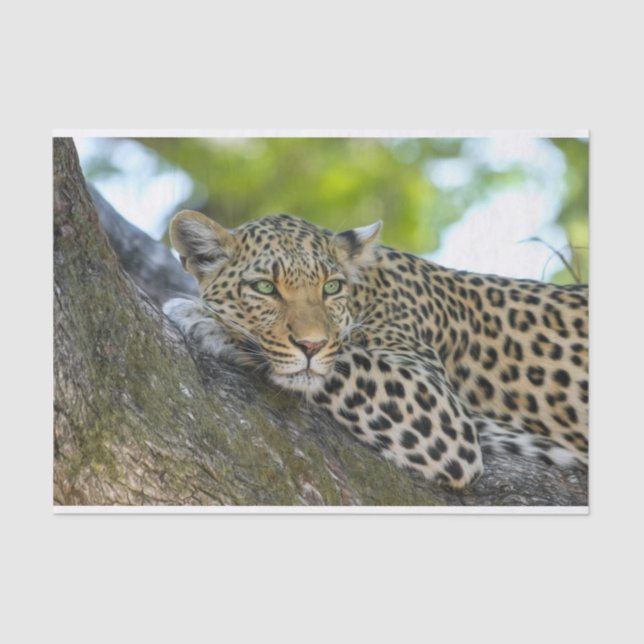 Papier Mousseline papier de tissu léopard (Recto)