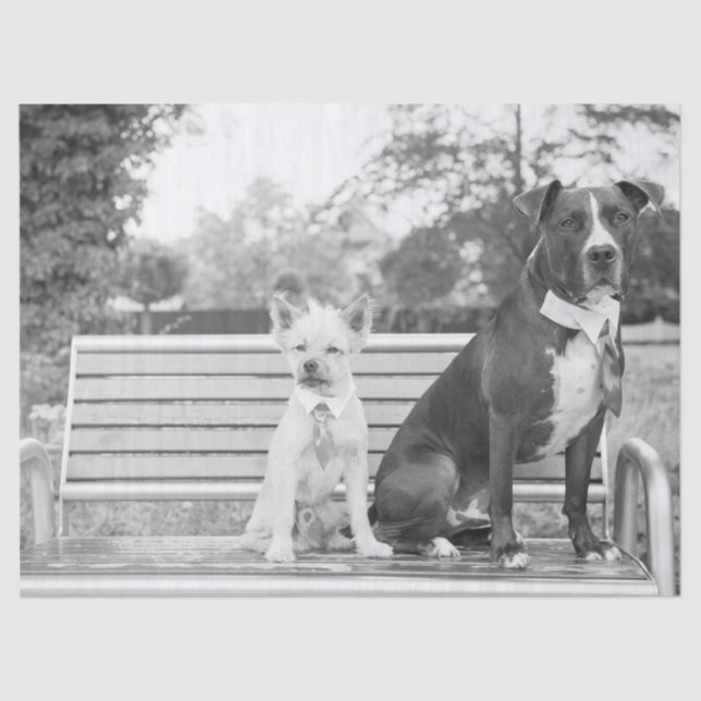 Papier Mousseline Papier de tissu mariage Doggie (Recto)