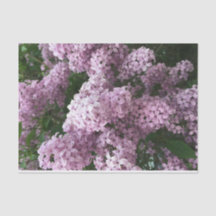 Papier de tissus à fleurs Lilac