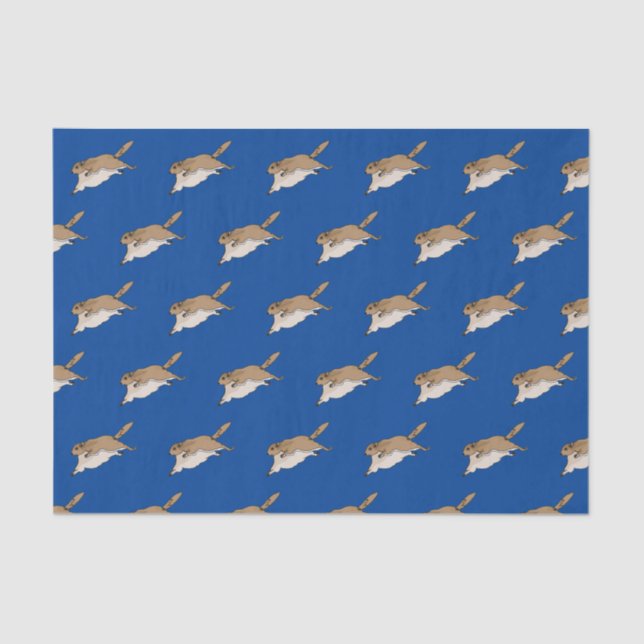 Papier Mousseline Papier de tissus d'écureuil volant (Recto)