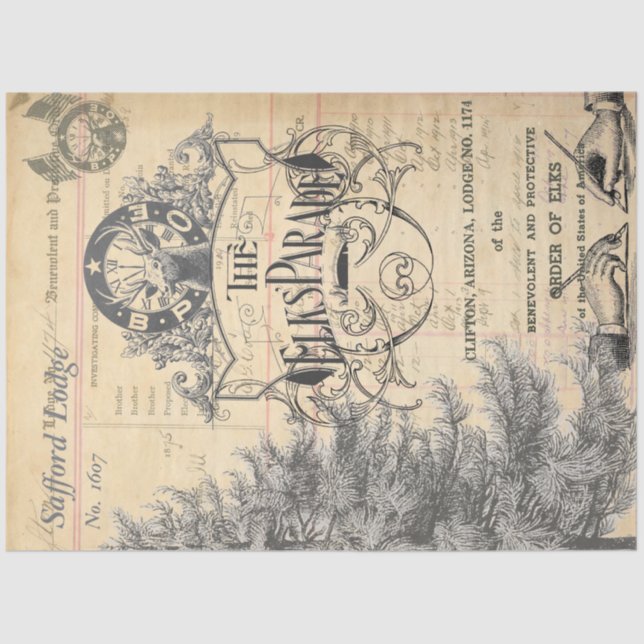 Papier Mousseline Papier de tissus Els Ephemera (Recto)