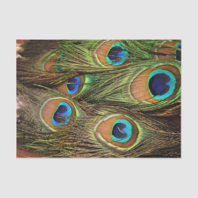 Papier Mousseline Papier de tissus Peacock Feathers (Recto)