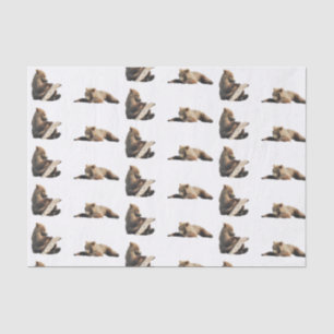 Papier Mousseline papier de tissus pour ours grizzli