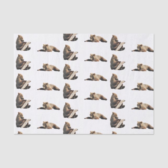 Papier Mousseline papier de tissus pour ours grizzli (Recto)