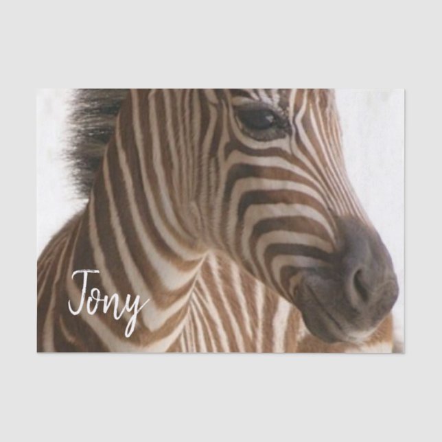 Papier Mousseline Papier de tissus Zebra (Recto)