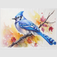 Papier Découpage Jay 1 bleu