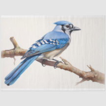 Papier Découpage Jay 3 bleu