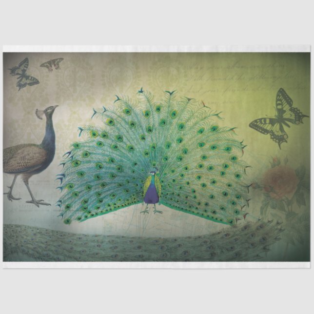 Papier Mousseline Papier Découpage Peacock (Recto)