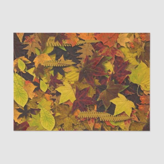 Papier Mousseline Papier d'enveloppement de tissus - Feuilles d'auto (Recto)