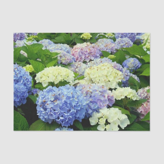 Papier Mousseline PAPIER D'ENVELOPPEMENT Mix-TISSUE Hydrangea (Recto)