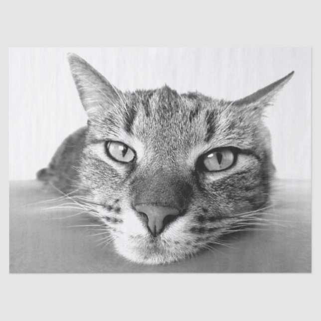 Papier Mousseline Papier mouchoir (Recto)