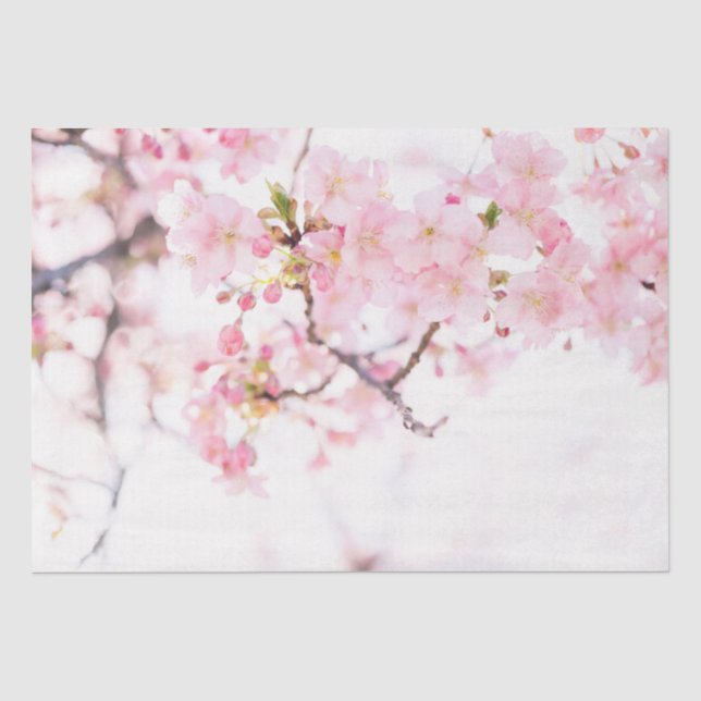 PAPIER MOUSSELINE PAPIER MOUSSELINE: PAPIER TISSU CHERRY BLOSSOMS (Recto)