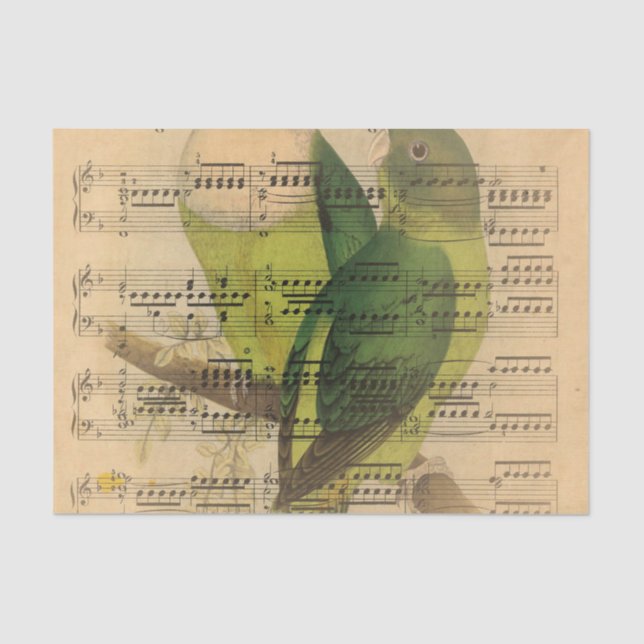 Papier Mousseline Papier peint victorien d'oiseau d'aquarelle de (Recto)