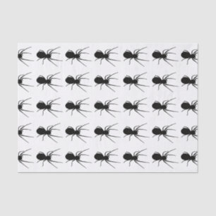 Papier Mousseline Papier Tissu Black Spider
