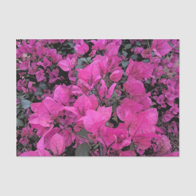 Papier Mousseline Papier Tissu Bougainvillea (Recto)