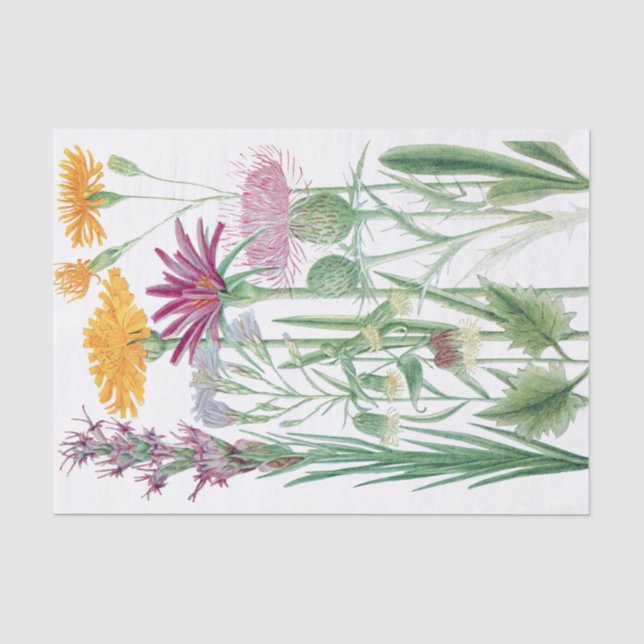 Papier Mousseline Papier Tissu Couleur Personnalisé Fleurs Rocheuses (Recto)