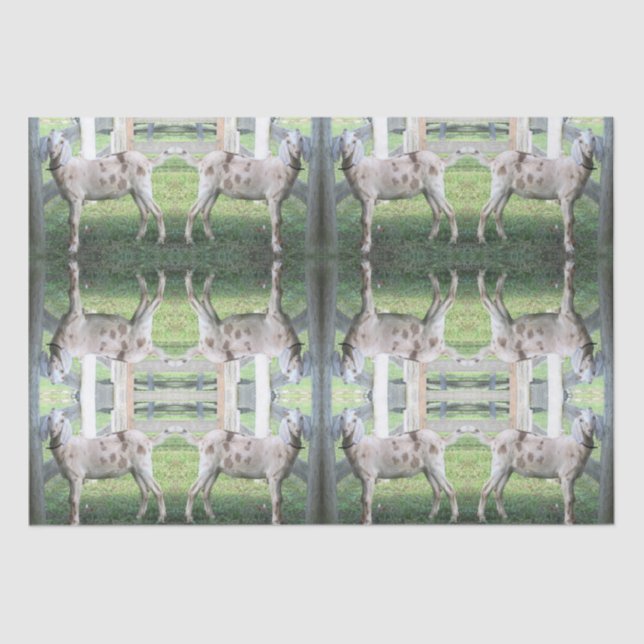 Papier Mousseline Papier Tissu De Chèvre Cute Spotted (Recto)