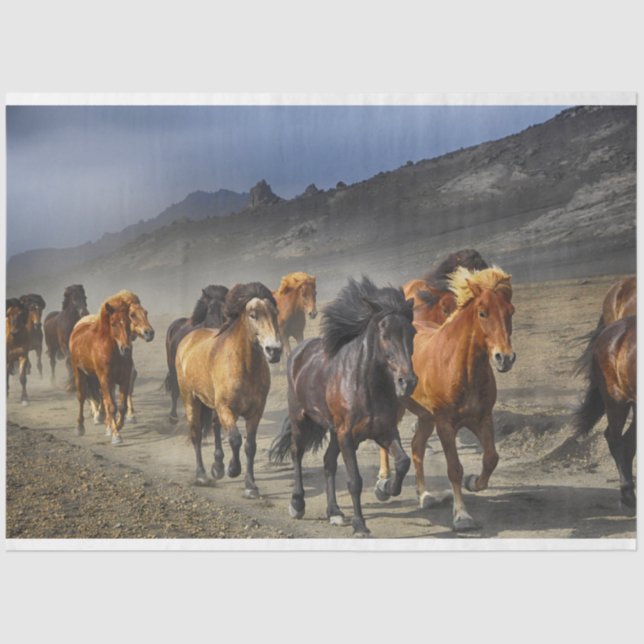 Papier Mousseline papier tissu de piste (Recto)