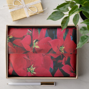 Papier Mousseline Papier Tissu De Vacances - Poinsettias Rouge
