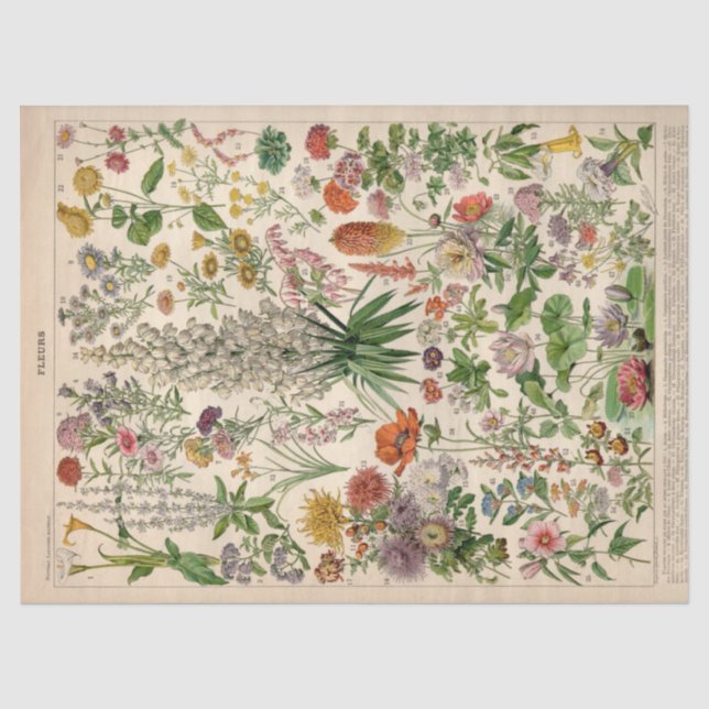 Papier Mousseline Papier Tissu Fleurs Botaniques Françaises (Recto)