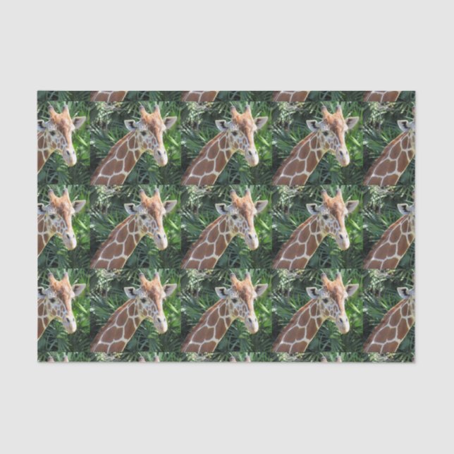 Papier Mousseline Papier Tissu Giraffe (Recto)