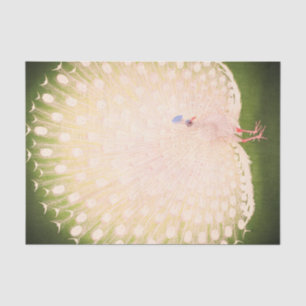 Papier Mousseline Papier Tissu JAPONAIS PEACOCK