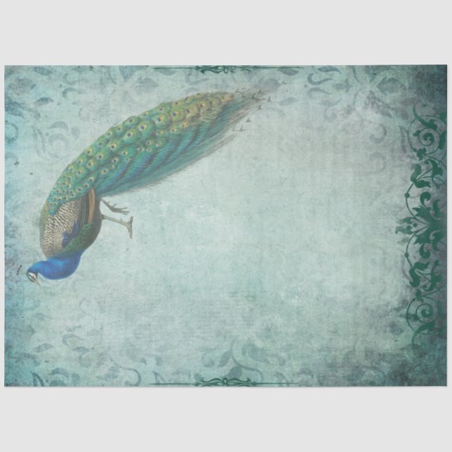 Papier Mousseline Papier Tissu Peacock pour l'artisanat et le collag (Recto)