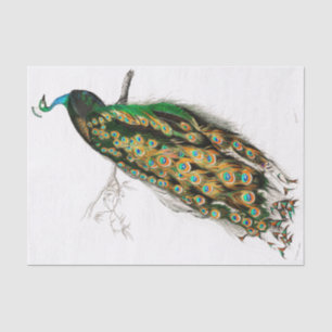 Papier Mousseline Papier Tissu Peacock vintage