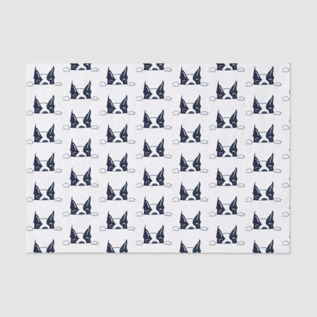 Papier Mousseline Papier Tissu Peekaboo (Recto)