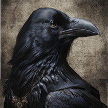 Papier Tissu Raven noir