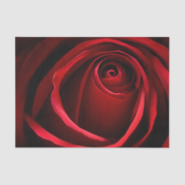 Papier Mousseline Papier Tissu Red Rose Custom 10lb, blanc (Recto)