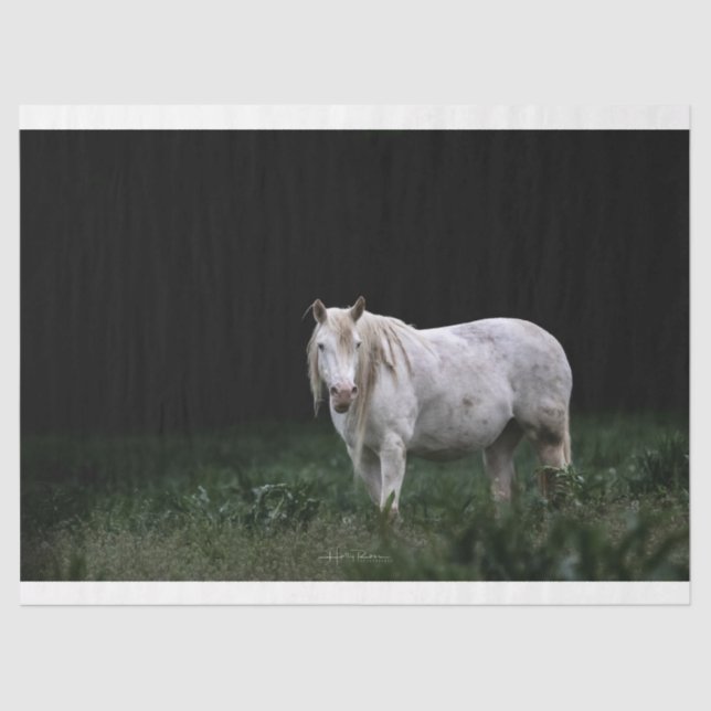 Papier Mousseline Papier Tissu Wild Horse (Recto)