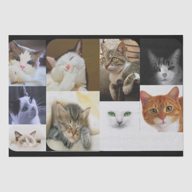 Papier Mousseline Papier tissulaire Amoureux des chats (Recto)