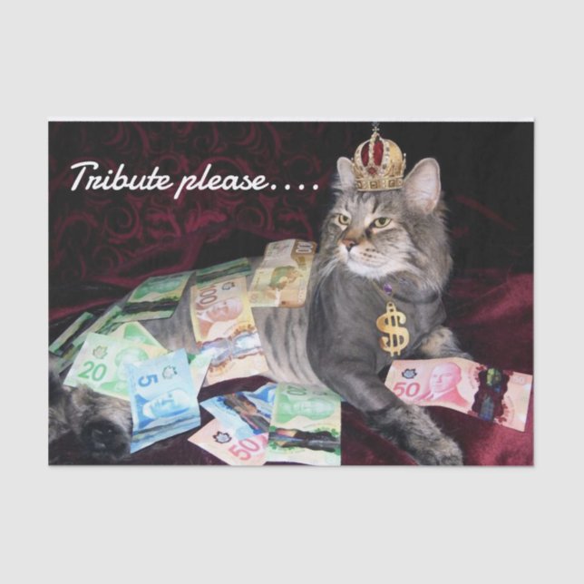 Papier Mousseline Papier Tissus Cat (Recto)