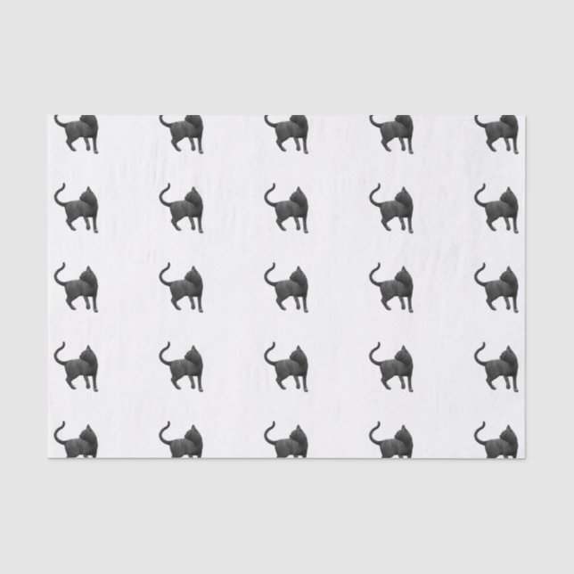 Papier Mousseline Papier Tissus de chat noir (Recto)