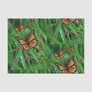 Papier Mousseline Papiers papillons décoratifs