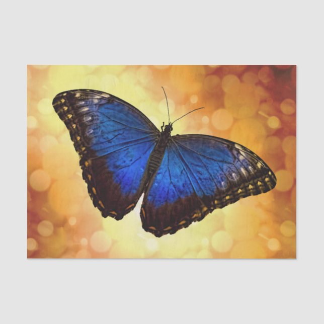 Papier Mousseline Papillon bleu de Morpho (Recto)
