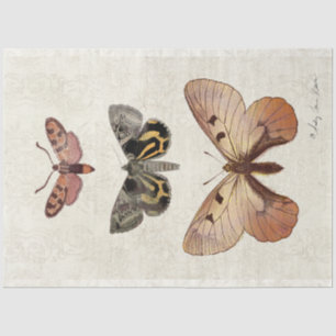 Papier Mousseline Papillon botanique Vintage Peach Blush Decoupage
