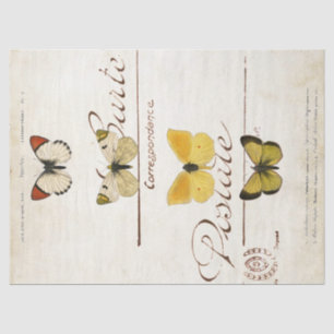 Papier Mousseline Papillon Carte Postale Vintage française Découpage