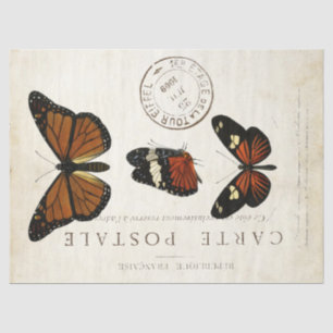 Papier Mousseline Papillon Carte Postale Vintage française Découpage