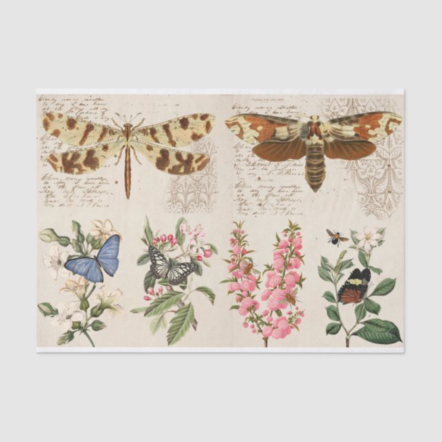 Papier Mousseline Papillon de libellule Fleurs de papillon (Recto)