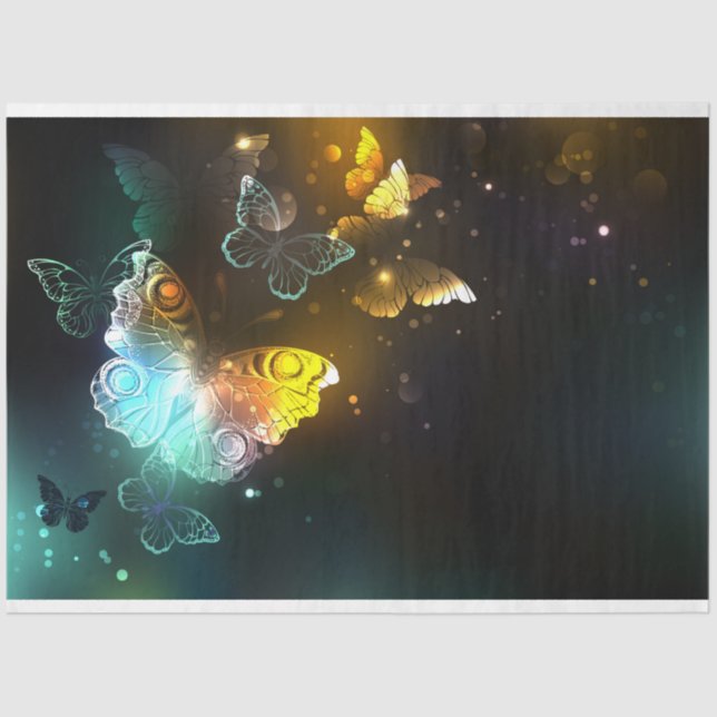 Papier Mousseline Papillon lumineux et papillons de nuit (Recto)