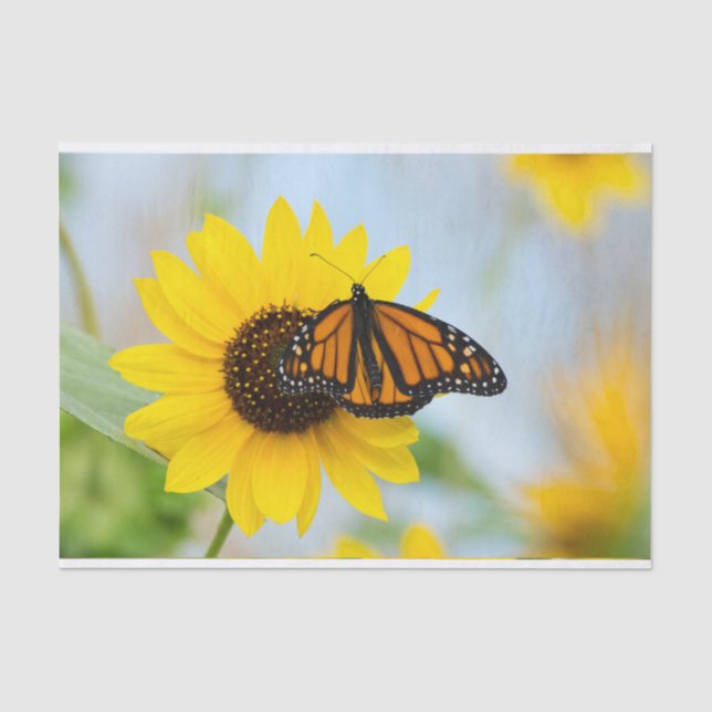 Papier Mousseline Papillon monarque et tournesol (Recto)