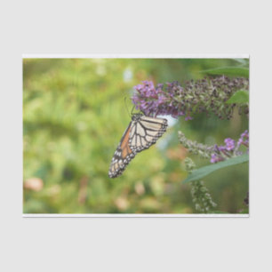 Papier Mousseline Papillon Monarque sur papillon pourpre Bush