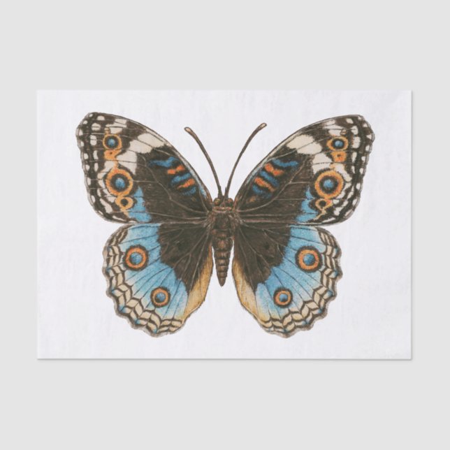 Papier Mousseline Papillon Pansy Bleu (Recto)
