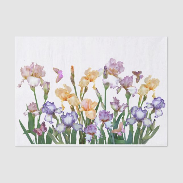 Papier Mousseline Papillon violet Iris rose Floral (Recto)