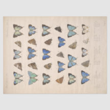 Papillons bleus vintages Ephémère Découpage Turquo
