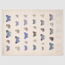 Papillons bleus vintages Ephémère Découpage Turquo